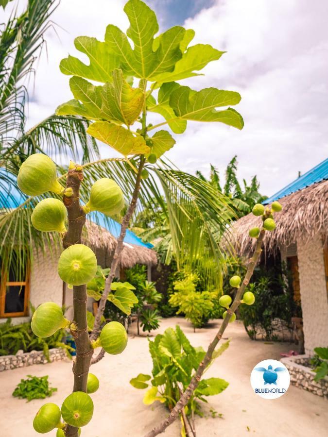 Blue World Dharavandhoo Extérieur photo